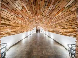 Prodej vinného sklepa, Domanín, 150 m2