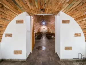 Prodej vinného sklepa, Domanín, 150 m2
