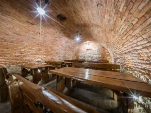 Prodej vinného sklepa, Domanín, 150 m2