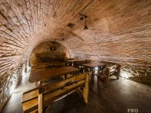 Prodej vinného sklepa, Domanín, 150 m2