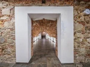 Prodej vinného sklepa, Domanín, 150 m2