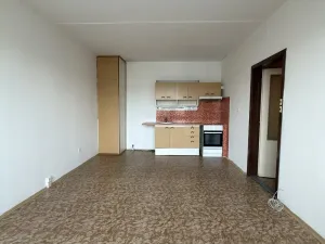 Prodej bytu 2+kk, České Budějovice - České Budějovice 2, J. Bendy, 38 m2