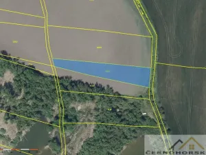 Prodej komerčního pozemku, Dobroměřice, 5. května, 11909 m2