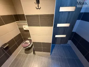 Pronájem bytu 3+1, Bílina - Teplické Předměstí, Sídliště Za Chlumem, 65 m2