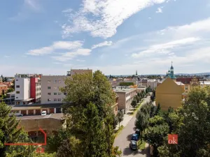 Pronájem bytu 2+1, Opava, Hany Kvapilové, 57 m2