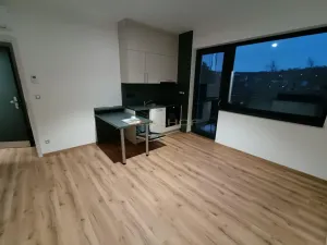 Pronájem bytu 2+kk, Brno - Jehnice, Kleštínek, 37 m2