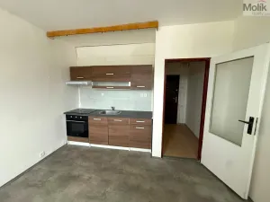 Pronájem bytu 1+1, Chlumec - Hrbovice, Klidná, 34 m2