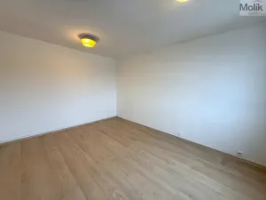 Pronájem bytu 1+1, Chlumec - Hrbovice, Klidná, 34 m2