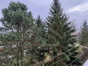 Pronájem bytu 2+1, Česká Lípa, Bendlova, 52 m2