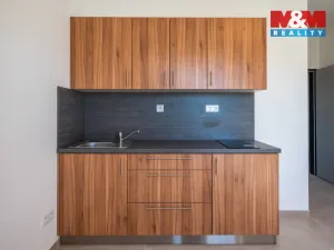 Pronájem bytu 1+kk, Radošovice, 18 m2