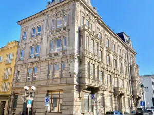 Prodej komerční nemovitosti, Opava - Město, sady Svobody, 2050 m2