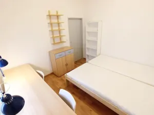 Pronájem bytu 1+kk, Brno - Zábrdovice, Cejl, 10 m2