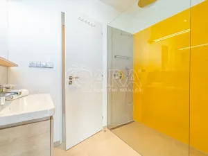 Prodej bytu 2+kk, Mladé Buky, 52 m2