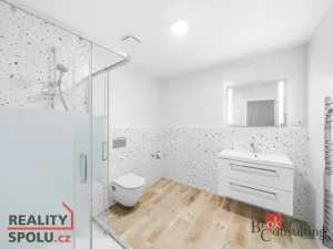 Pronájem bytu 1+kk, Plzeň - Jižní Předměstí, Železná, 43 m2