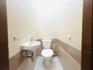 Pronájem bytu 1+1, České Budějovice, Generála Svobody, 60 m2