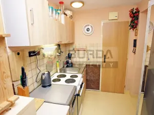 Pronájem bytu 1+1, Neratovice, 28 m2