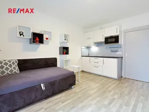 Pronájem bytu 1+kk, Plzeň, Sladová, 26 m2