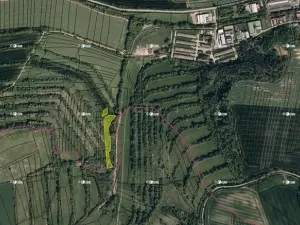 Prodej podílu pole, Boršice, 8735 m2