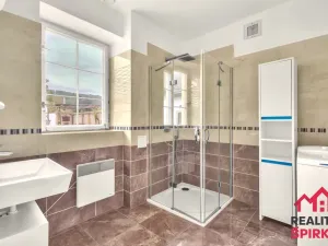 Prodej chalupy, Městečko Trnávka - Ludvíkov, 197 m2