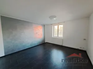 Pronájem bytu 1+1, Opava - Předměstí, Těšínská, 38 m2