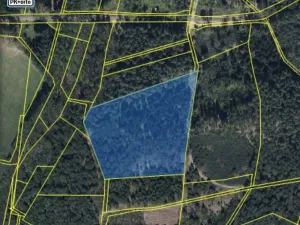 Prodej lesa, Veliny, 16002 m2