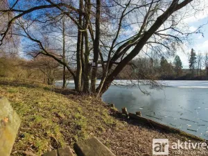 Prodej zahrady, Letovice - Třebětín, 680 m2