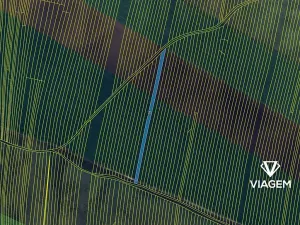 Prodej pole, Šumice, 3219 m2