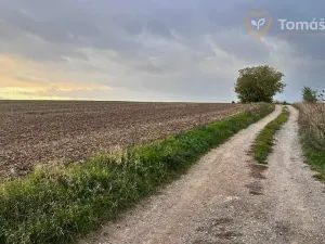 Prodej pole, Brno, 2381 m2