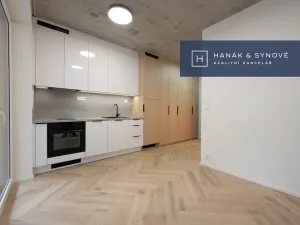 Pronájem bytu 1+kk, Brno, Koliště, 22 m2