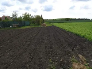 Dražba zahrady, Miroslav, 734 m2