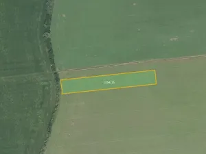 Prodej pole, Dub nad Moravou, 6158 m2