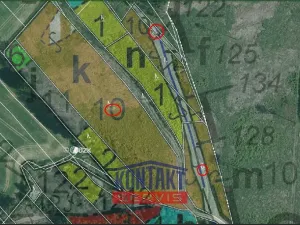 Prodej lesa, Žirovnice, 11124 m2