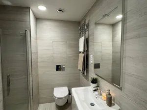 Pronájem bytu 1+kk, Praha, Basilejské náměstí, 43 m2