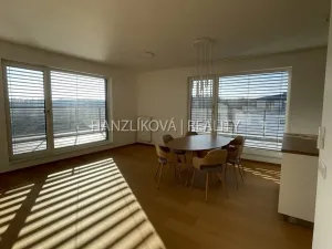 Pronájem bytu 4+kk, České Budějovice - České Budějovice 2, Branišovská, 103 m2