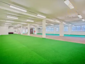 Pronájem obchodního prostoru, Polepy, 1200 m2