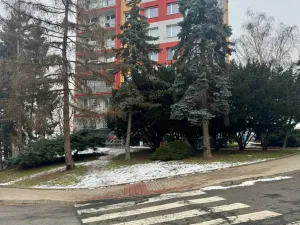 Pronájem bytu 2+kk, Bílina, Tylova, 40 m2