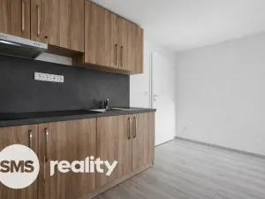 Pronájem bytu 1+kk, Opava - Předměstí, Resslovo nábřeží, 30 m2