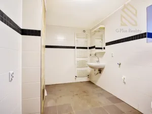 Prodej vícegeneračního domu, Modlany, 380 m2