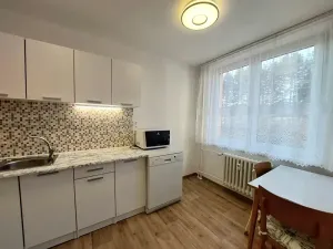 Pronájem bytu 1+1, Brno, Okrouhlá, 45 m2
