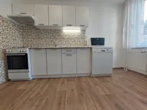 Pronájem bytu 1+1, Brno, Okrouhlá, 45 m2