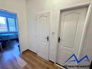 Pronájem bytu 1+1, Ostrava, Dětská, 42 m2