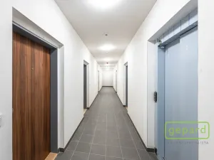 Prodej bytu 1+kk, Praha, Fabiánové, 31 m2