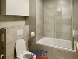 Pronájem bytu 2+kk, České Budějovice, U Branišovského lesa, 54 m2
