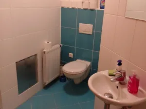 Pronájem bytu 3+1, Plzeň - Černice, Koukolová, 80 m2