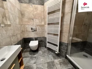 Pronájem bytu 1+kk, Plzeň, Solní, 24 m2