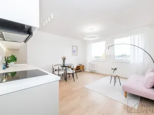 Prodej bytu 2+kk, Praha - Žižkov, Biskupcova, 47 m2