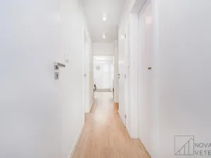 Prodej bytu 4+kk, Praha - Žižkov, Křivá, 100 m2