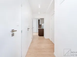 Prodej bytu 3+kk, Praha - Žižkov, Buková, 53 m2