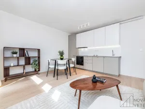Prodej bytu 4+kk, Praha - Žižkov, U kněžské louky, 88 m2