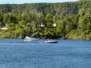 Prodej pozemku pro bydlení, Křečovice - Živohošť, 8775 m2